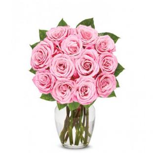 One Dozen Light Pink Roses